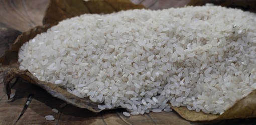 Martedi’ 30 novembre Curtiriso partecipa a “Rice For Future”  giornata di forestazione organizzata da rete clima