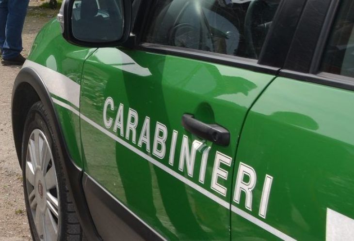 Inquinamento ambientale in Lomellina: concluse le indagini dei Carabinieri Forestali