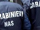 Controlli ad Abbiategrasso di Carabinieri e Nas: 50 identificati, 3 denunciati, 2 pub sanzionati Controlli ad Abbiategrasso di Carabinieri e Nas: 50 identificati, 3 denunciati, 2 pub sanzionati