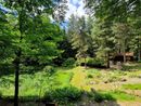 Riapre il giardino botanico di Pietra Corva