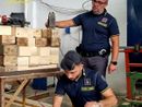 Pavia: scoperta una fabbrica di pellet contraffatti, sequestrati due capannoni