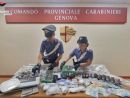 Vigevano, quasi 30 chili tra cocaina e hashish nascosti in cucina: 29enne arrestato