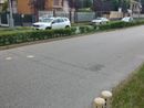 Vigevano: ragazza di 13 anni investita da un'auto in viale Petrarca