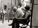 Novara, “test viventi” per studio sull’invecchiamento condotto dal centro di ricerca &quot;Ipazia&quot;