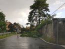 Maltempo sulla Bassa Lomellina, alberi caduti sulle strade, interrotta la Torre Beretti-Castellaro