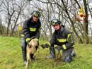 Lomello, i Vigili del fuoco recuperano un agnello caduto nella scarpata Lomello, i Vigili del fuoco recuperano un agnello caduto nella scarpata