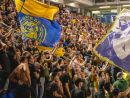 Basket, ecco il mosaico dello staff di Vigevano 1955 per la stagione 2025/26