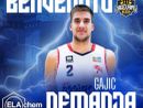 Basket serie B, Nemanja Gajic è il primo tassello della ELAchem Vigevano 2025/26