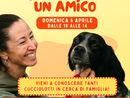 Gravellona, al Parco dei Tre Laghi l'iniziativa "Adotta un amico"