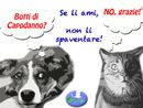 “No ai botti, SI’ ai biscotti”, appello dell’associazione Gaia e decalogo antibotti per cani e gatti “No ai botti, SI’ ai biscotti”, appello dell’associazione Gaia e decalogo antibotti per cani e gatti