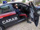 Mortara: spaccata in un negozio per animali domestici, ladri via con il fondo cassa