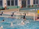 Pallanuoto, tris di vittorie per le squadre dell'H2Sport Vigevano Pallanuoto, tris di vittorie per le squadre dell'H2Sport Vigevano