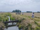 Passeggiata da Suardi all'abbazia di Acqualunga, le immagini