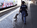 Stazioni Sicure: aderisce anche il comune di Pavia