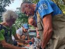 Cassolnovo, così nascono gli storioni del Ticino Cassolnovo, così nascono gli storioni del Ticino
