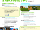 “Scopri, gusta, nutri”: due giorni di eventi per scoprire la cultura del riso in Lomellina “Scopri, gusta, nutri”: due giorni di eventi per scoprire la cultura del riso in Lomellina