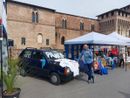 Panda a Pandino (CR): tutto pronto per il raduno dei record