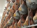 Citterio apre un nuovo stabilimento produttivo in Toscana