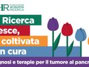 21 novembre giornata internazionale contro il tumore al pancreas, le iniziative dell'Humanitas di Rozzano