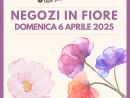 Al via l'iniziativa "Vigevano c'è", negozi aperti in centro ogni prima domenica del mese