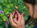 Da Viridea tornano i laboratori di natura per bambini