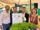 Lavoro, agli Oscar Coldiretti premiato il medese Zafferoni: dal passato la tecnica green che salva le risaie e risparmia acqua