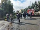 Vigevano: albero cade in corso Genova, chiuso un tratto di strada