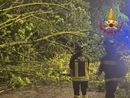 Maltempo nel Pavese: Vigili del Fuoco in azione sin dalle prime luci dell’alba Maltempo nel Pavese: Vigili del Fuoco in azione sin dalle prime luci dell’alba