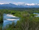Insieme per pulire il Parco del Ticino