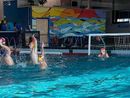 Pallanuoto, poker di vittorie per le squadre dell'H2Sport Vigevano