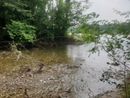 Magenta, Parco del Ticino, massima attenzione: troppi pericoli dopo le piogge