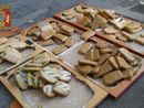 Droga dal Sudamerica a Milano e Pavia, 17 arresti Droga dal Sudamerica a Milano e Pavia, 17 arresti
