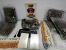 Operazione antidroga a Novara: tre arresti e sequestro di cocaina e marijuana