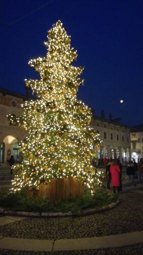 - FOTONOTIZIA - Vigevano: acceso l'Albero di Natale in piazza Ducale