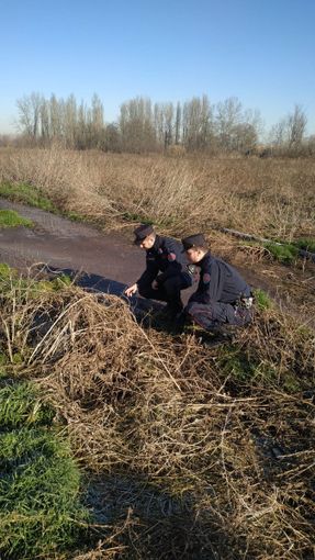 Oltrepò: denunciato un uomo sorpreso a bruciare rifiuti non pericolosi Oltrepò: denunciato un uomo sorpreso a bruciare rifiuti non pericolosi