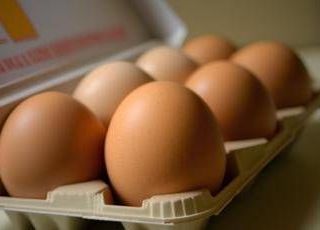 Uova biologiche o allevate a terra: ecco i consigli per orientarsi tra etichette