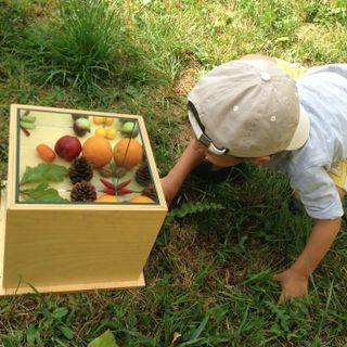 Orti botanici della Lombardia: aule educative all’aperto