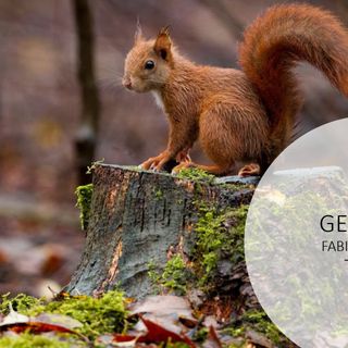 57 fotografi, 18 classi: è un successo il concorso fotografico indetto dal parco del Ticino