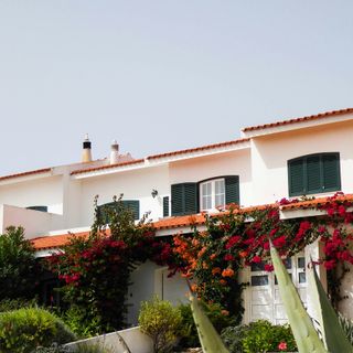 La mobilità come opportunità: studiare o lavorare all'estero senza perdere il legame con la propria terra d'origine