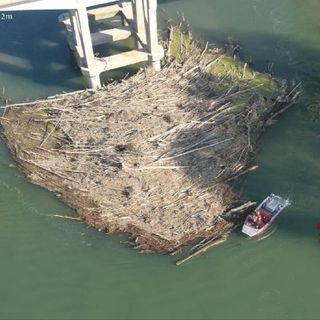 Pavese: ripescato un cadavere nel Po, sarebbe il 70enne disperso da alcuni giorni