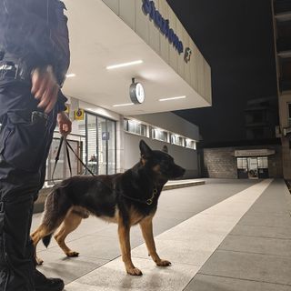 Sicurezza in provincia: in settimana tre operazioni di controllo straordinario del territorio tra Pavia e Vigevano. Rafforzati i presidi nelle aree sensibili e nei luoghi della movida