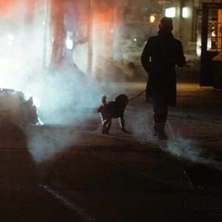 Magenta, cane folgorato da un palo elettrico durante la passeggiata: area isolata