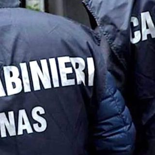 Controlli ad Abbiategrasso di Carabinieri e Nas: 50 identificati, 3 denunciati, 2 pub sanzionati Controlli ad Abbiategrasso di Carabinieri e Nas: 50 identificati, 3 denunciati, 2 pub sanzionati