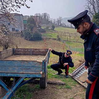 Oltrepò, denunciato dai Carabinieri per furto aggravato e ricettazione