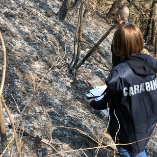 Oltrepò, incendio boschivi in Alta Valle Staffora: denunciato un 69enne