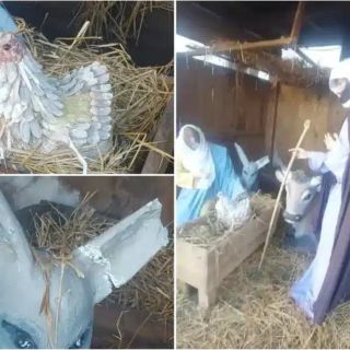 Cilavegna, vandalizzato il presepe in piazza: danneggiate le statue della Natività