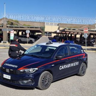 Oltrepò, ruba una borsa e usa le carte di credito al centro commerciale