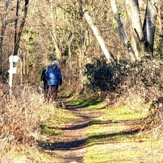 Magenta: colpi di fucile da caccia sull’auto, danno scoperto in officina