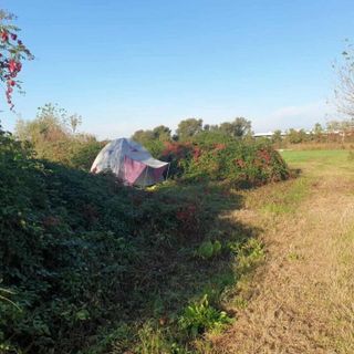 Magenta, vivere e dormire in tenda: la faccia nascosta della città