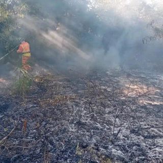 Boffalora, ancora fiamme alla Gambarina: tre roghi distinti, l’ombra del dolo nel Parco del Ticino
